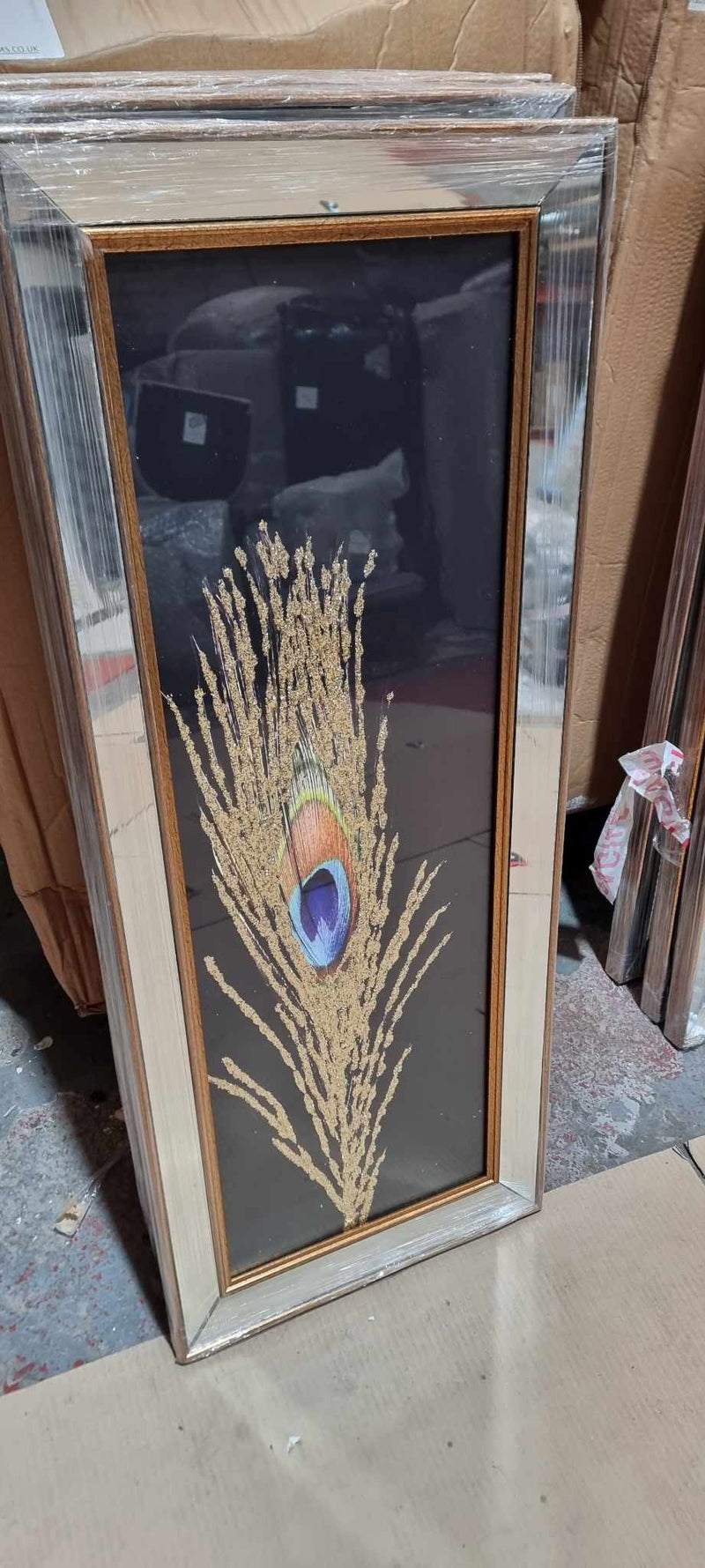 Peacock Feather Frame