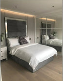 Denzel mirrored bedframe in plush velvet